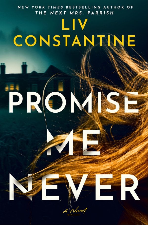 Promise Me Never: A Novel by Liv Constantine book cover