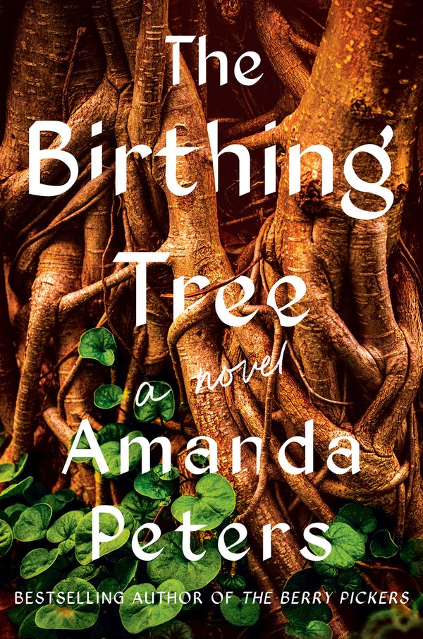 The Birthing Tree by Amanda Peters book cover