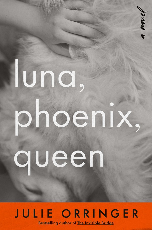 Luna, Phoenix, Queen by Julie Orringer book cover