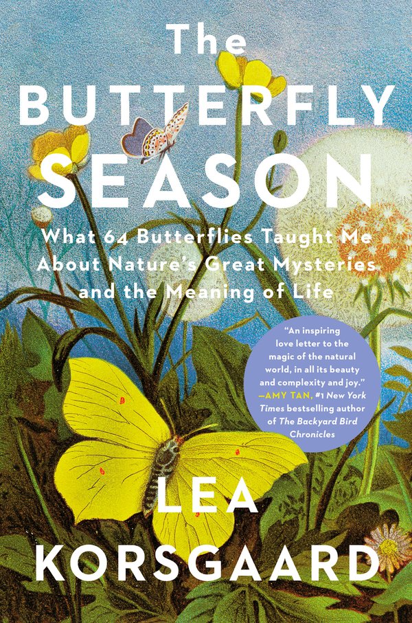The Butterfly Season by Lea Korsgaard book cover