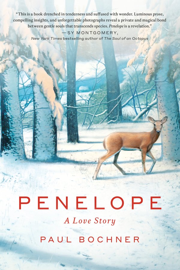 Penelope by Paul Bochner book cover